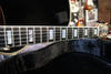 Hofner New President 2004