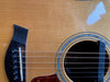 Taylor 810 1999