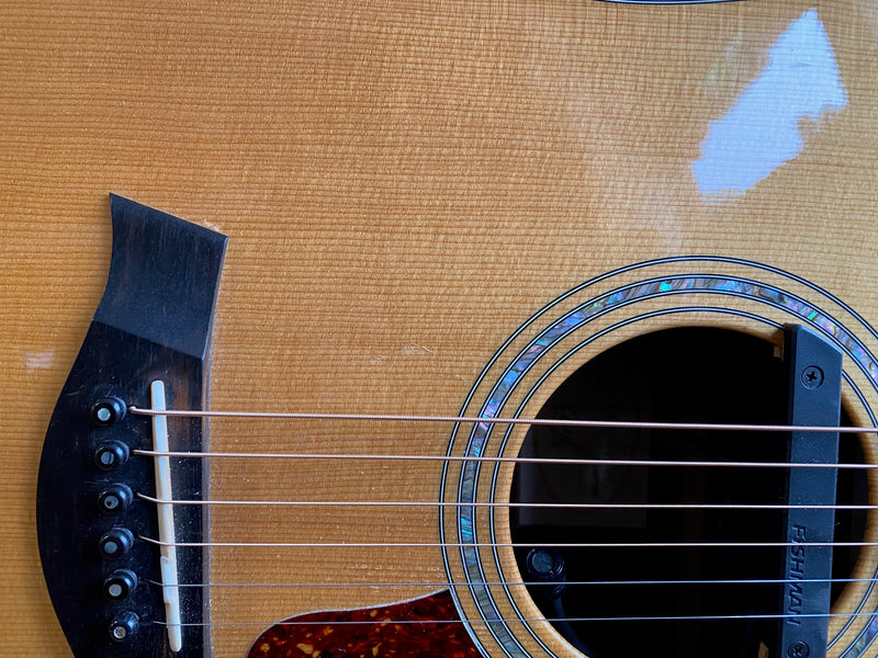 Taylor 810 1999