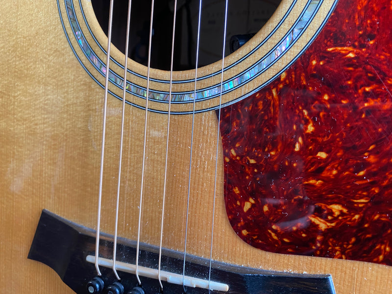 Taylor 810 1999