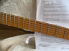Strandberg Boden Classic 6 Trem 2012