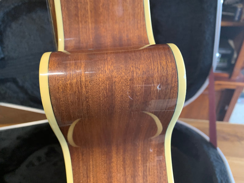 Takamine EG260
