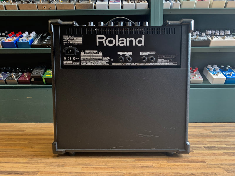 Roland Cube-80XL