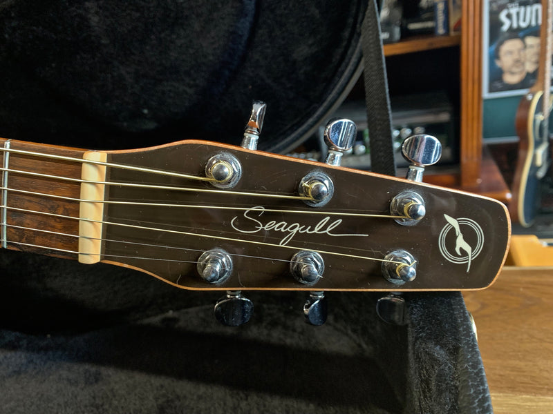 Seagull Entourage CW Q1T