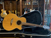 Takamine EG260