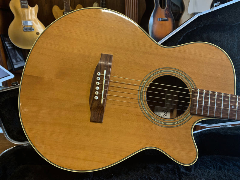 Takamine EG260