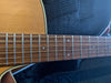 Takamine EG260