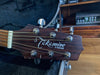Takamine EG260