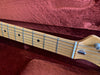 Fender Telecaster Thinline 1973