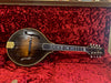 Wayne Henderson A-Style Mandolin