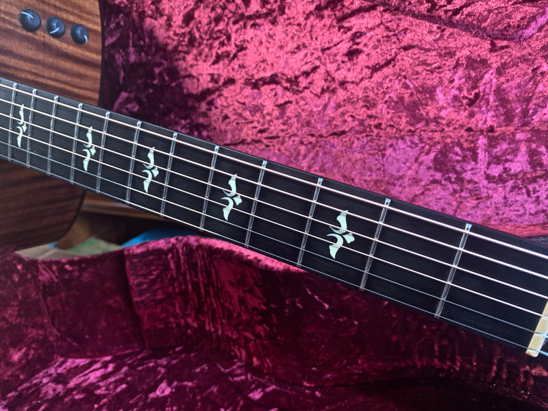 Taylor 618e Grand Orchestra 2017