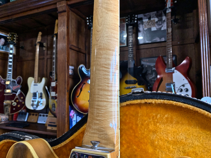 Fender Coronado II Wildwood 1967