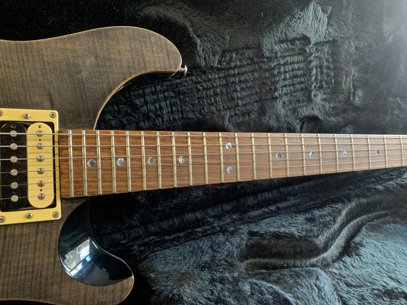 PRS SE Custom 22