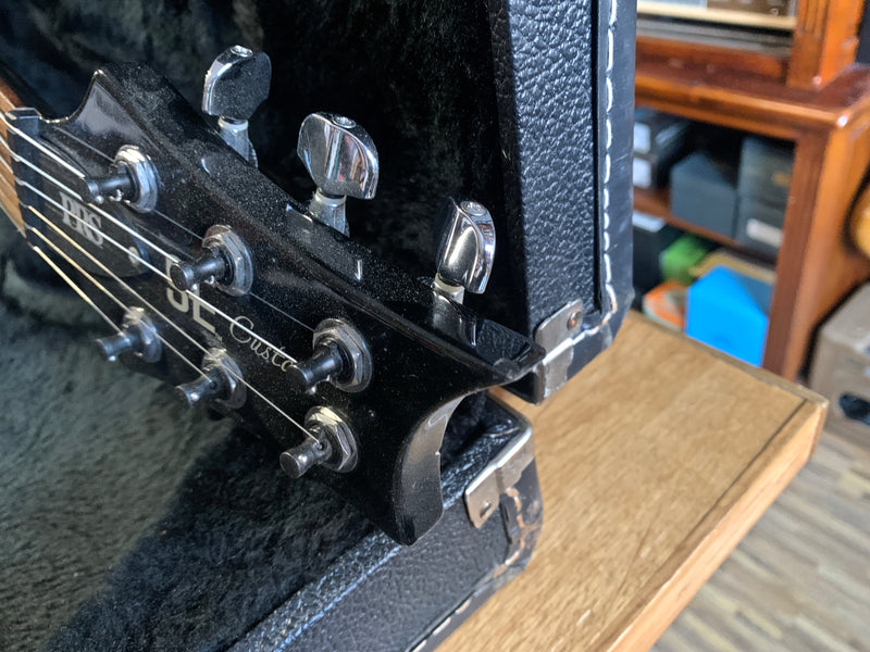 PRS SE Custom 22