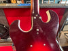 Silvertone 1457 w/ Amp Case 1965