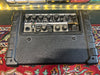 Roland Micro Cube RX
