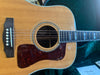 Guild D-55 2013
