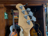 Lakland Skyline 44-51