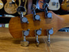 Walden D550CE