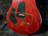 PRS Anniversary Custom 24 10-Top 2010