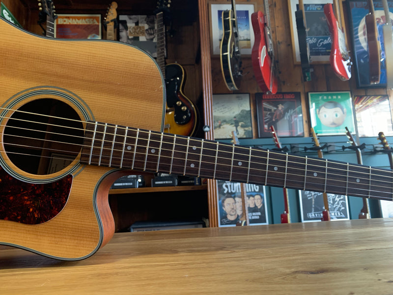 Walden D550CE
